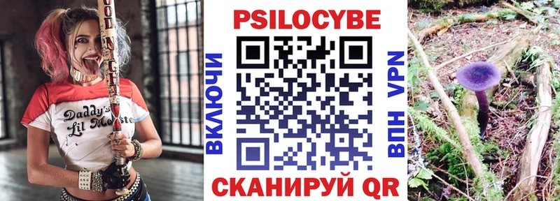 Псилоцибиновые грибы GOLDEN TEACHER  omg как войти  Апрелевка 