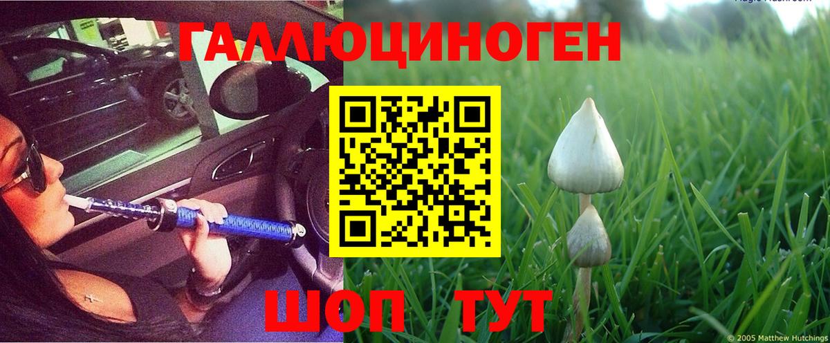 Апрелевка  Галлюциногенные грибы прущие грибы  Псилоцибиновые грибы мухоморы  Вход с VPN 